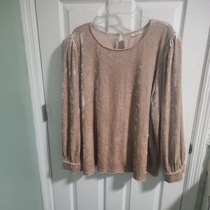 JODIFL Velvet Blouse in Warm Champagne Size 3x